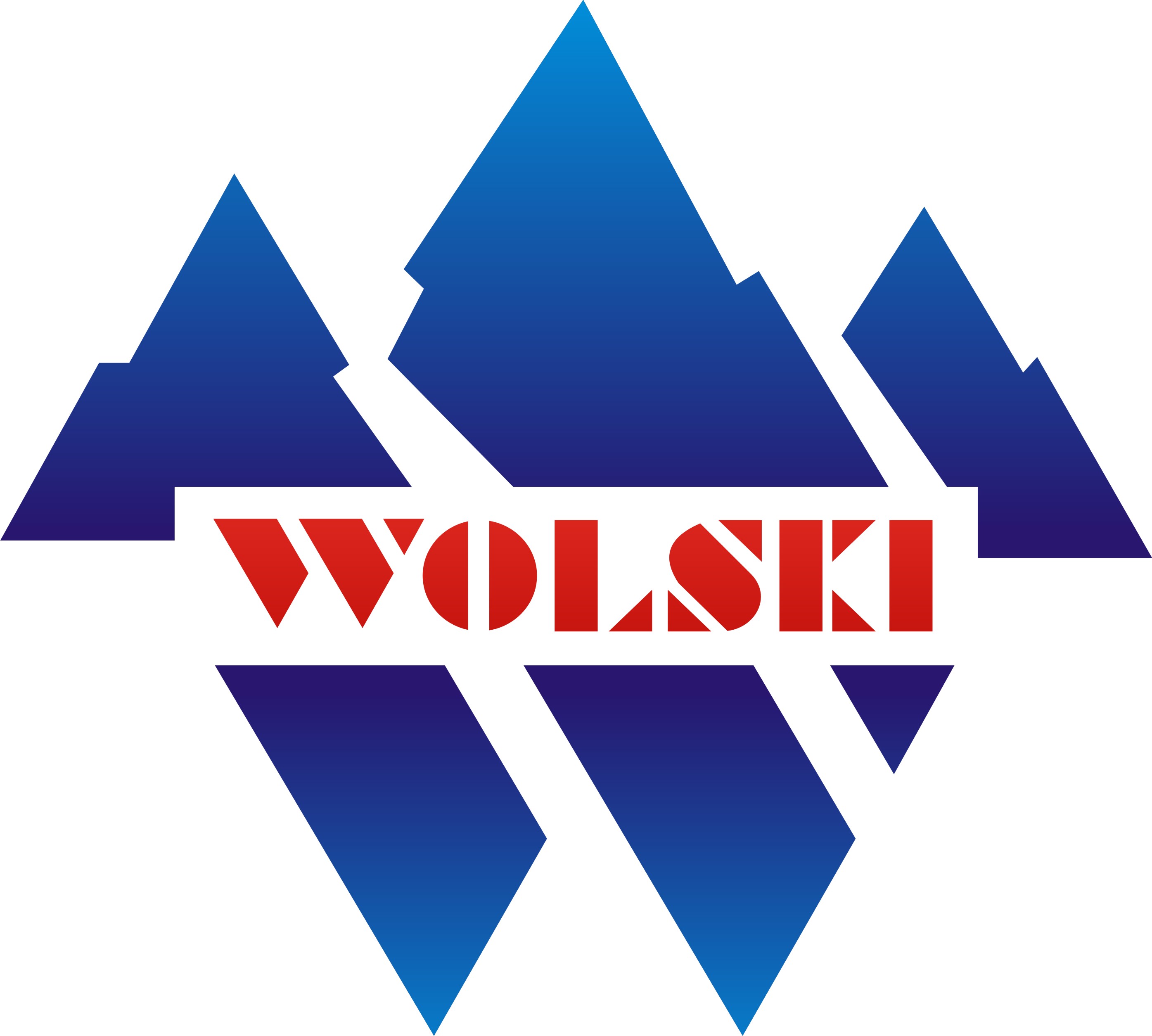 Logo_WOLSKI